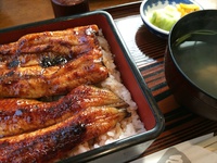 うなぎ　さくめ