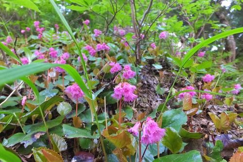 槍ヶ岳　②槍ヶ岳～上高地編