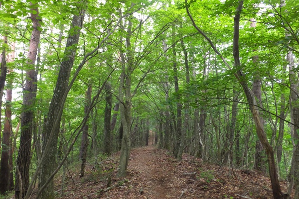 春日山～釈迦ヶ岳