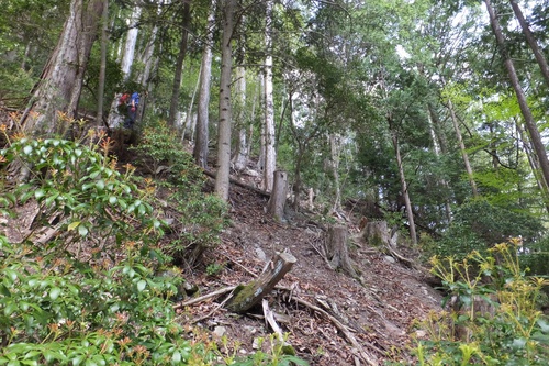 不動岳～六呂場山　②不動岳～六呂場山～矢筈山編