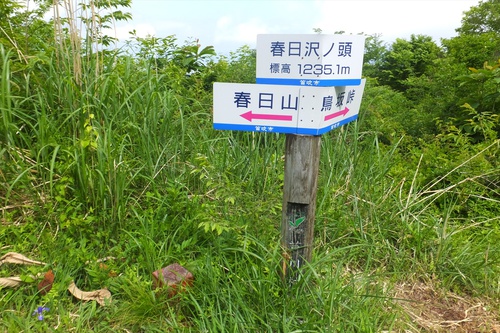 春日山～釈迦ヶ岳