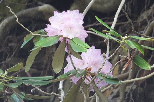 槍ヶ岳　②槍ヶ岳～上高地編