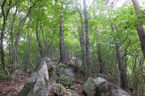 春日山～釈迦ヶ岳