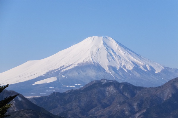 鳥ノ胸山