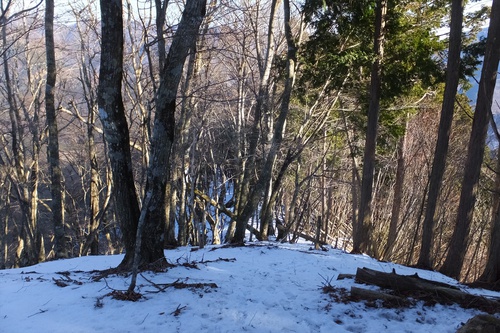 鳥ノ胸山