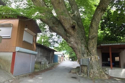 春日山～釈迦ヶ岳