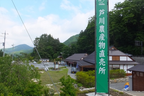 春日山～釈迦ヶ岳