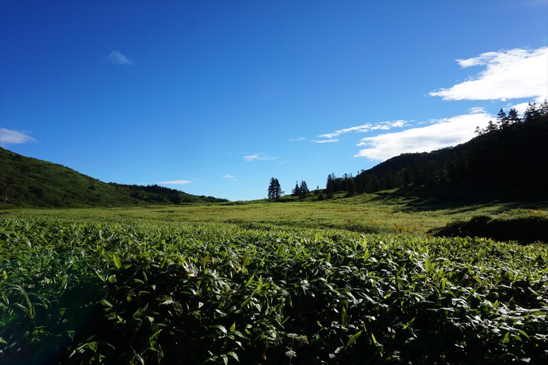 妙高山～火打山