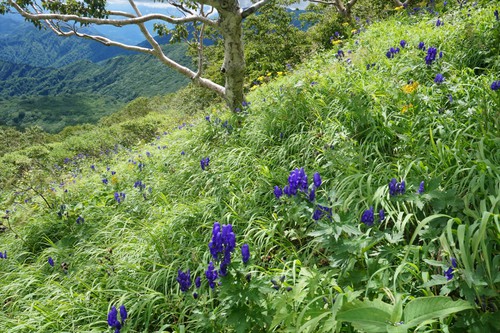 妙高山～火打山