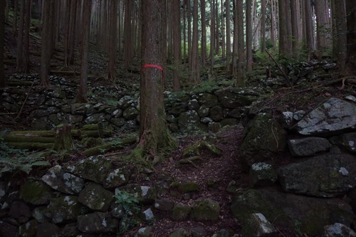 則沢～竜爪山（雨により撤退）
