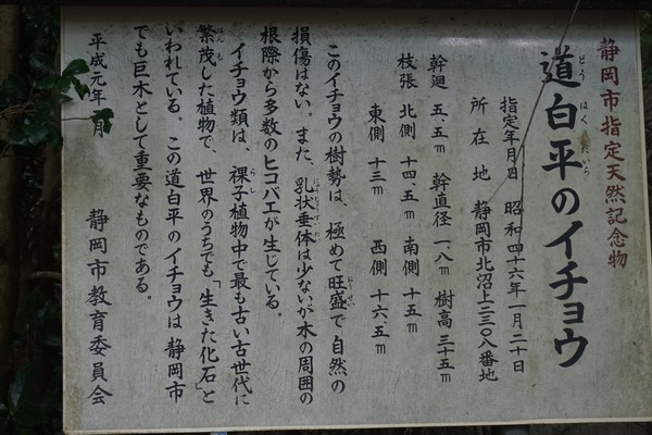 則沢～竜爪山（雨により撤退）
