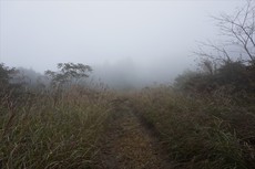 蔵田～高尾山～笠張山（周回）