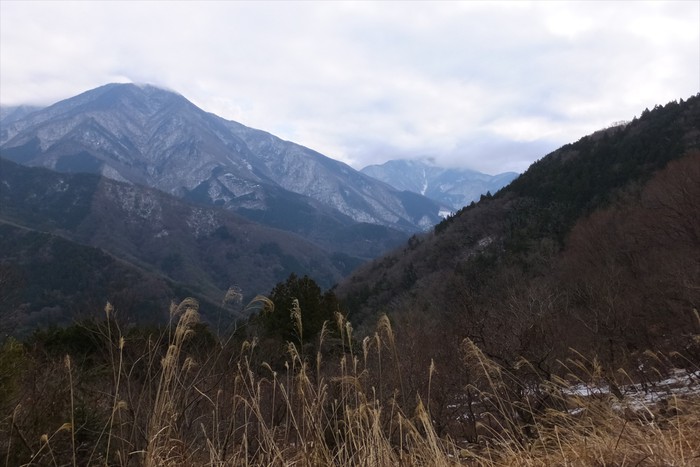醍醐山