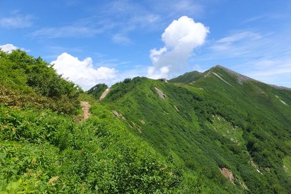 蓮華岳～針ノ木岳～赤沢岳～岩小屋沢岳　②針ノ木岳～スバリ岳～赤沢岳～鳴沢岳～岩小屋沢岳編