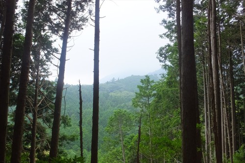 竜爪山途中撤退