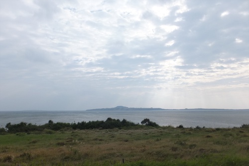 沖縄旅行　③西表島～由布島編