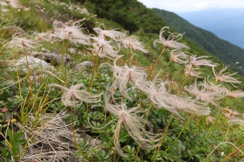 木曽駒ヶ岳～宝剣岳（福島Bコース）