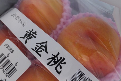 木曽駒ヶ岳～宝剣岳（福島Bコース）