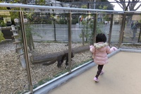 日本平動物園