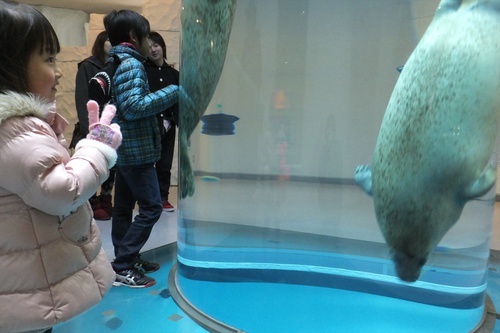 日本平動物園