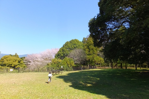 谷津山