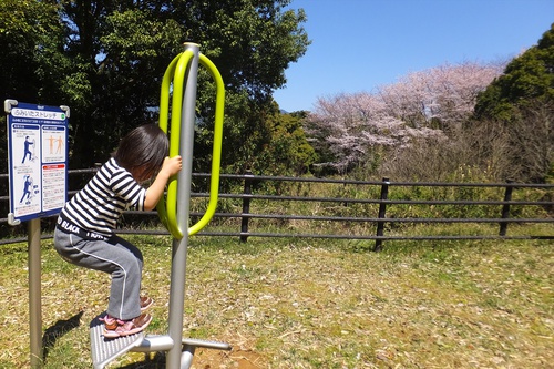 谷津山