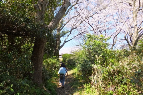 谷津山