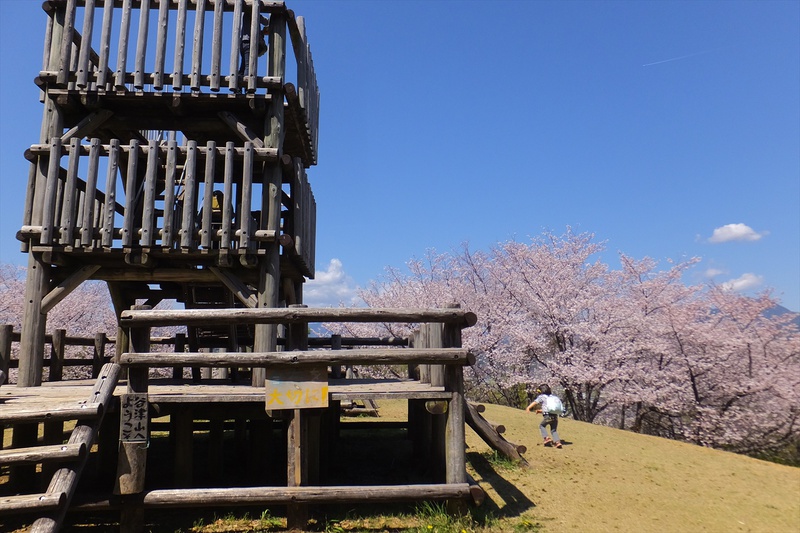 谷津山