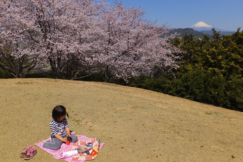 谷津山
