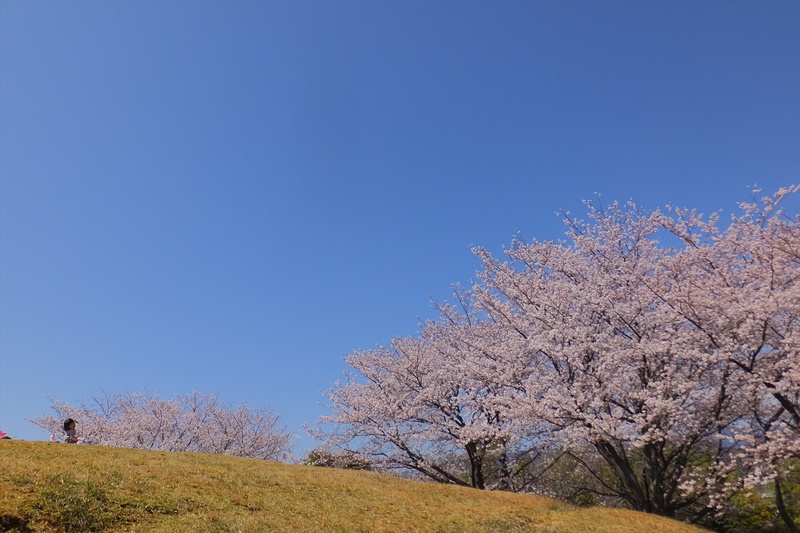 谷津山