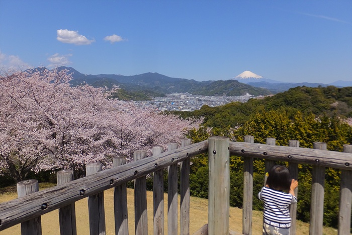 谷津山