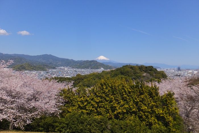 谷津山