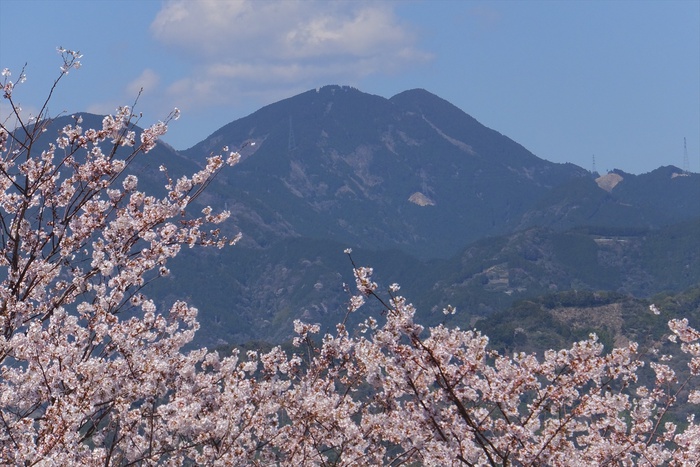 谷津山