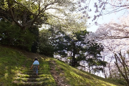谷津山