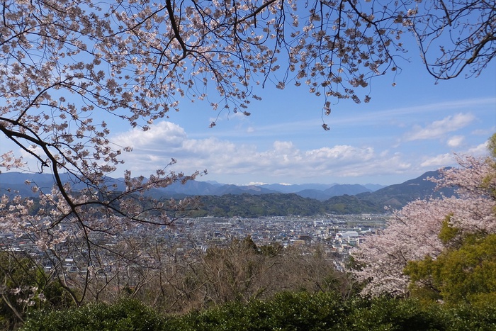 谷津山