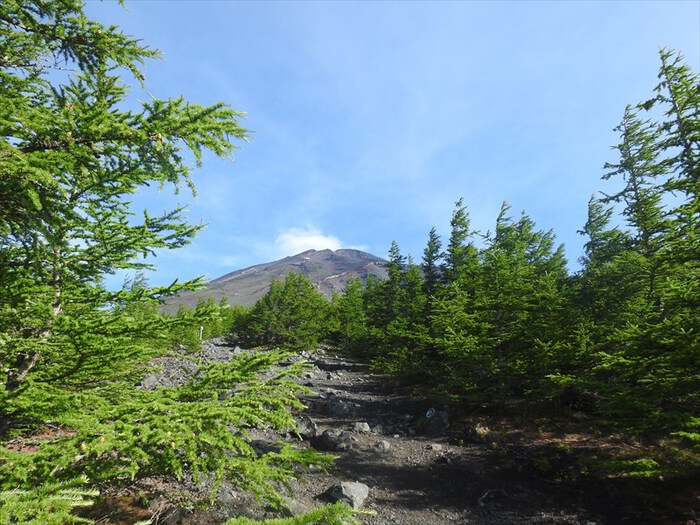 宝永山（須山口登山歩道～村山古道）