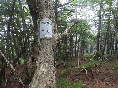 宝永山（須山口登山歩道～村山古道）