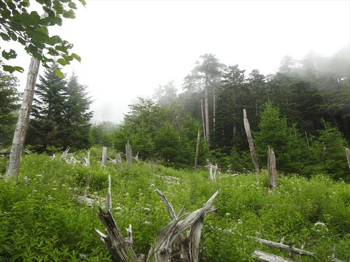 宝永山（須山口登山歩道～村山古道）