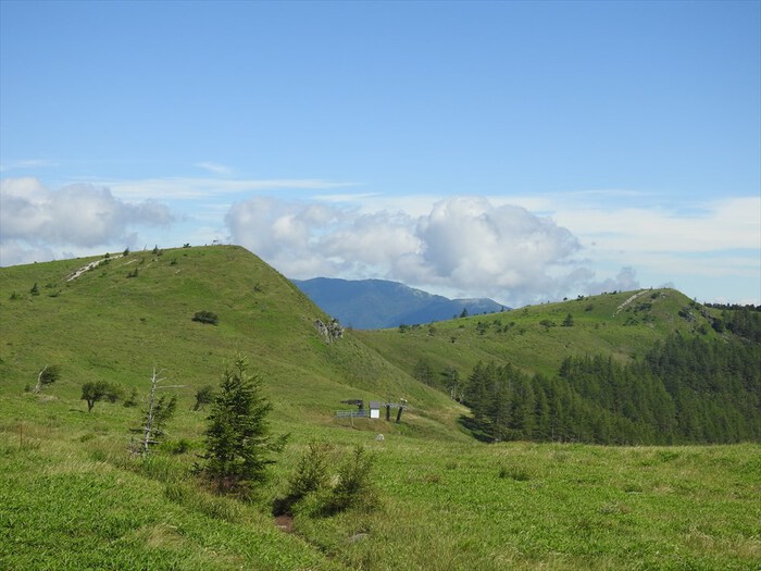 霧ヶ峰（蝶々深山～車山～南・北の耳～ゼブラ山～物見岩）