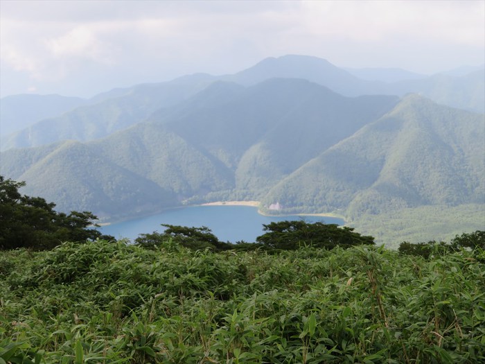 竜ヶ岳