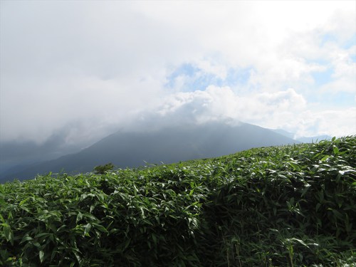 竜ヶ岳