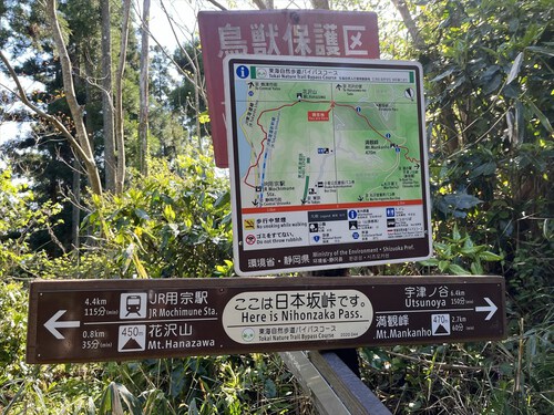花沢山
