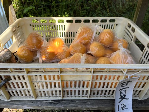 花沢山
