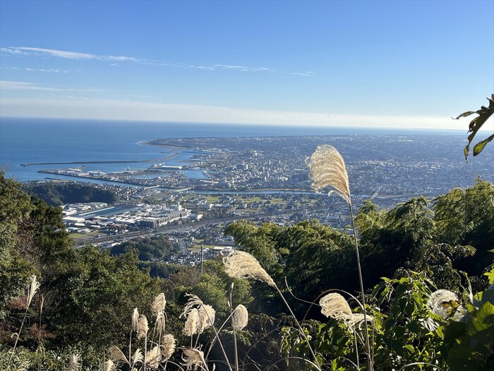 高草山