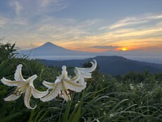 浜石岳