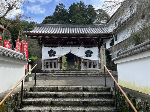 日本平（有度山）