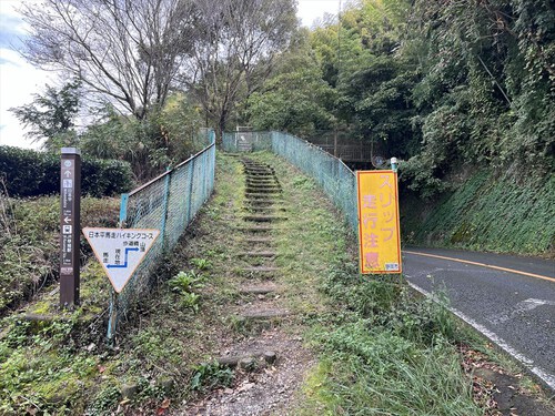 日本平（有度山）