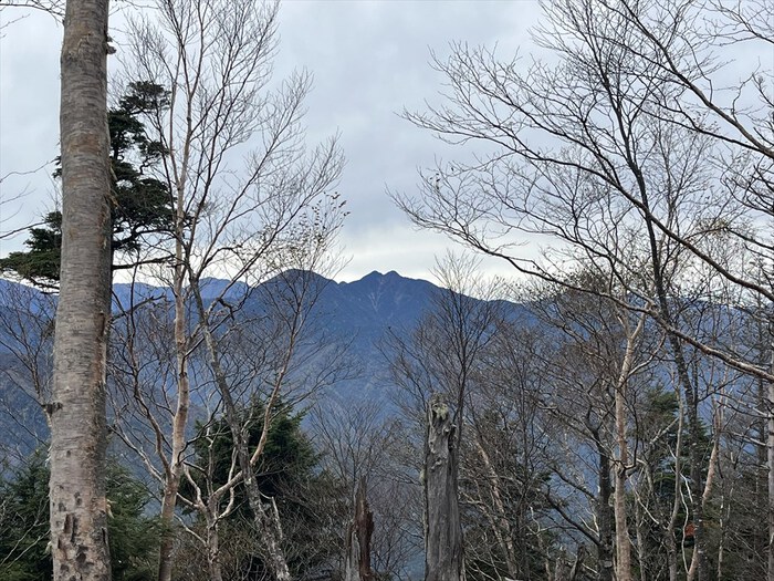 大谷嶺