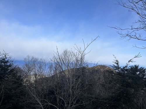 毛無山～大見岳～タカデッキ～雨ヶ岳
