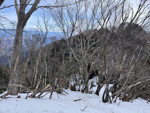 毛無山～大見岳～タカデッキ～雨ヶ岳